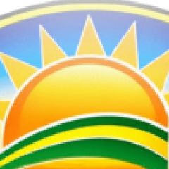 Valdemir